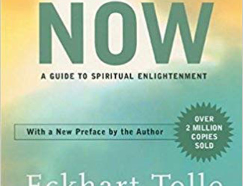Recommended Reading: The Power of Now
